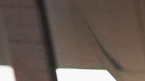 USCIS revisa actualmente las solicitudes de visas H-2B.