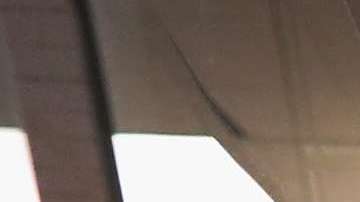 USCIS revisa actualmente las solicitudes de visas H-2B.