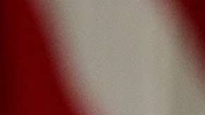 Trump les dio un año para salir del país o regularizar su situación migratoria