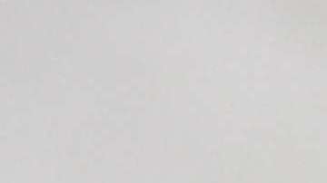 El vaticano desmiente lo que dijo el periodista