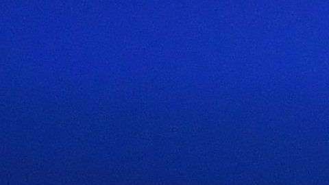 Neymar estará de regreso con el PSG entre dos o tres semanas