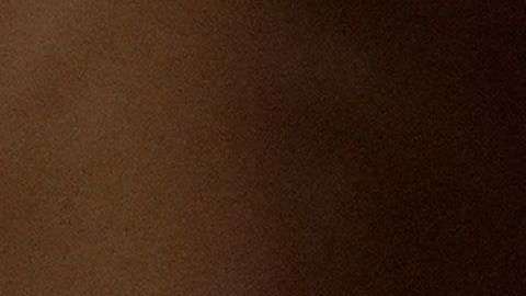 Trump dice que vendrán más despidos