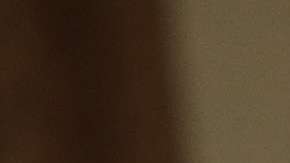 Trump condicionó su plan  tarifario a las negociaciones actuales de NAFTA