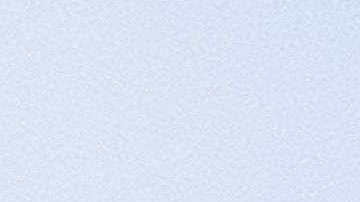 Desde que Trump asumió la presidencia surgieron reportes de las diferencias entre el magnate y su esposa.