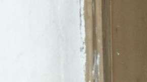 Hay que estar preparados para la llamada "Enfermedad X"