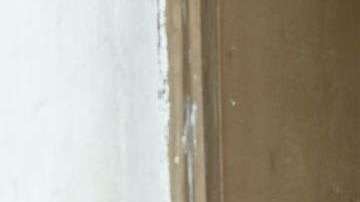 Hay que estar preparados para la llamada "Enfermedad X"