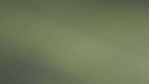 El presidente Trump viajó a California para visitar los prototipos del muro fronterizo.