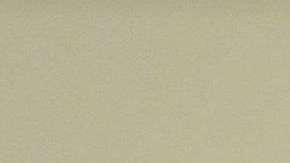 El presidente Trump tuiteó sobre la Segunda Enmienda.