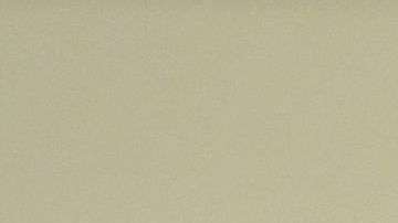 El presidente Trump tuiteó sobre la Segunda Enmienda.