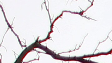 Cientos de miles de personas marchan en  Estados Unidos para exigir mayor control de armas. La 'Marcha por nuestras vidas' ha sido impulsada por los estudiantes sobrevivientes del tiroteo en la escuela Stoneman Douglas High, en Florida, y se ha proyectado a Washington DC y cientos de ciudades en Estados Unidos y el mundo.