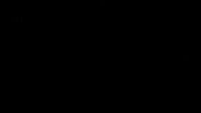 Ivan Zamarripa-Castaneda se estrelló contra un camión matando al conductor y huyendo de la escena.