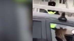 El incidente se reportó en la ciudad rusa de Sterlitamak.