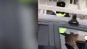 El incidente se reportó en la ciudad rusa de Sterlitamak.