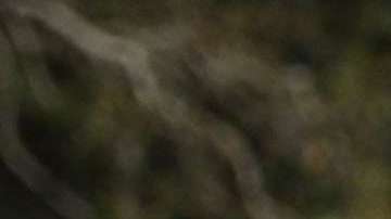 El tiroteo en Florida reabrió el debate sobre el control de armas.