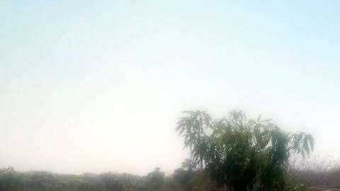 Violencia en Oaxaca.