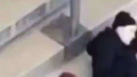 El aficionado del Herta Berlin captado en pleno acto indecente.