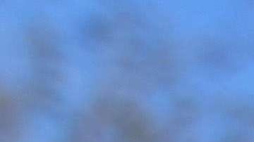 La última vez que se aceleró la contratación de agentes de ICEy Patrulla Fronteriza, aumentaron notablemente los casos de abuso y corrupción (Foto: archivo)