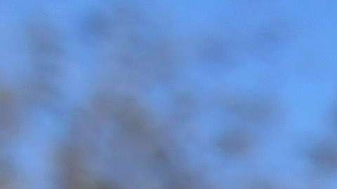 La última vez que se aceleró la contratación de agentes de ICEy Patrulla Fronteriza, aumentaron notablemente los casos de abuso y corrupción (Foto: archivo)