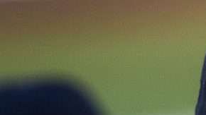 Esteban Loaiza ya fue transferido a una prisión federal de EEUU por narcotráfico. (Foto: Imago7/Alejandro Gutíerrez Mora)