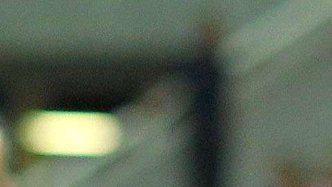 Lobos BUAP recibe a Chivas en duelo de la jornada 11 de la Liga MX