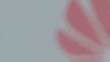 Jeremy Menez y oribe Peralta durate una sesión de entrenamiento (Archivo)