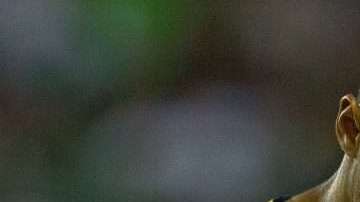 León, Guanajuato, 3 de marzo de 2018., durante el juego de la jornada 10 del torneo Clausura 2018 de la Liga Bancomer MX, entre los Esmeraldas del León y los Pumas de la UNAM celebrado en el estadio León. Foto: Imago7/Sergio Mejía