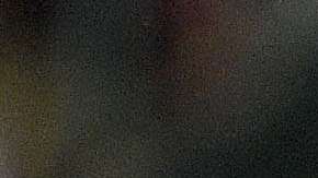 Las Águilas del América recibirán al Tauto de Panamá, en la Concachampions