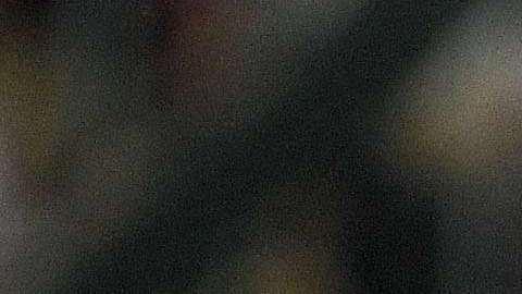 Las Águilas del América recibirán al Tauto de Panamá, en la Concachampions