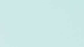 Numerosos "tepesianos" y activistas han pedido al gobierno que considere extender el TPS.