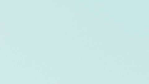 Numerosos "tepesianos" y activistas han pedido al gobierno que considere extender el TPS.