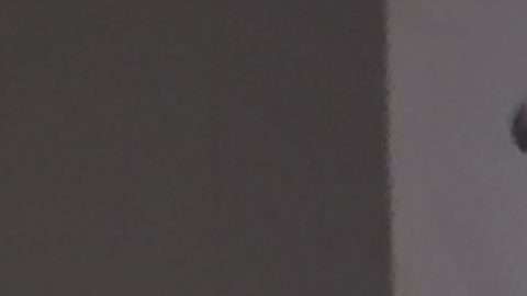 Don Garber, izq. y Enrique Bonilla atendieron a los medios en Nueva York.