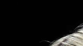 Ivanka Trump y Chelsea Clinton fueron amigas durante un tiempo.