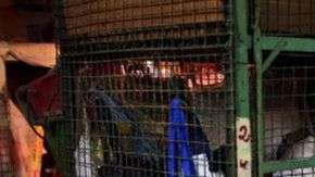 Tam Wing Dik, de 78 años, vive en una jaula en Hong Kong.