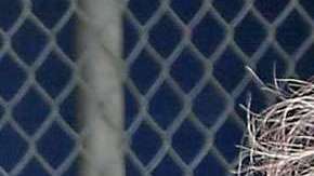 Kim Kardashian jugando béisbol.