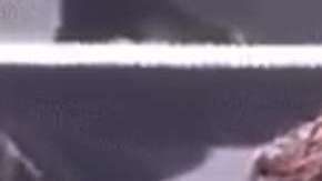 Alejandra Guzmán y Gloria Trevi.