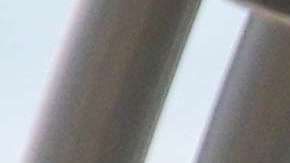 Lily Estefan recibe el día de su cumpleaños la vista inesperada de Pittbull