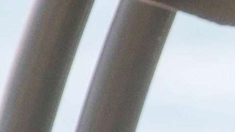 Lily Estefan recibe el día de su cumpleaños la vista inesperada de Pittbull