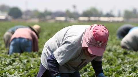 Los inmigrantes realizan muchos trabajos necesarios.