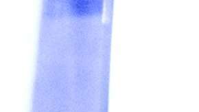 Luis Miguel La Serie se podrá ver en Telemundo y Netflix.