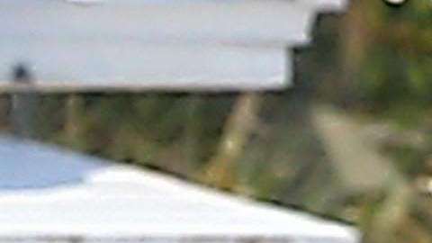 Maluma y Prince Royce pasan tiempo juntos en Miami, Florida / Grosby Group