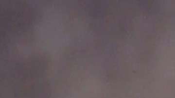 Louise Pietrewicz fue vista por última vez en octubre de 1966