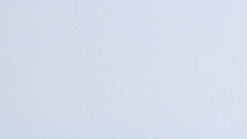 Los padres cruzaron la frontera con sus dos hijas menores.