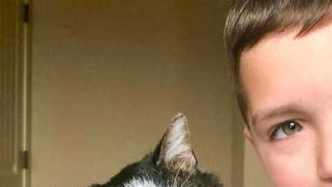 Este niño ha encontrado a su mascota perfecta y por eso la madre no dudó en realizar un largo viaje para adoptarla.