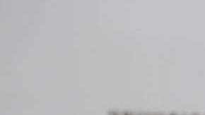 Ninel Conde siempre polémica.