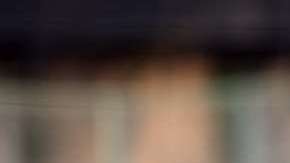 El delantero colombiano Darwin Quintero jugará con el Minnesota United de la MLS