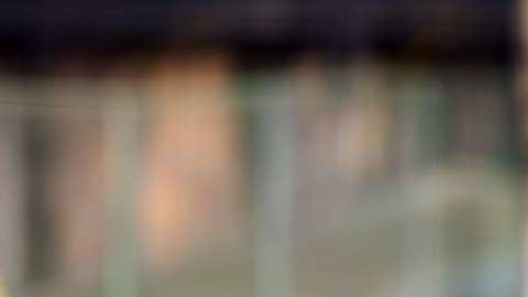 El delantero colombiano Darwin Quintero jugará con el Minnesota United de la MLS