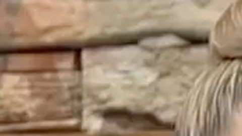 Atala Sarmiento y Pati Chapoy durante una emisión de "Ventaneando"