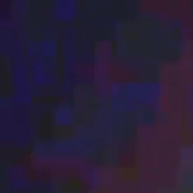 Las imágenes capturadas por PETA son borrosas pero estremecedoras