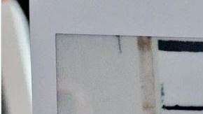 El animal se camuflajea entre la nieve.