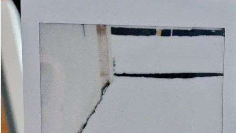 El animal se camuflajea entre la nieve.